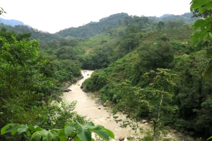 Gualcarque River