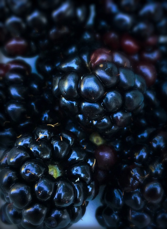 berries-13